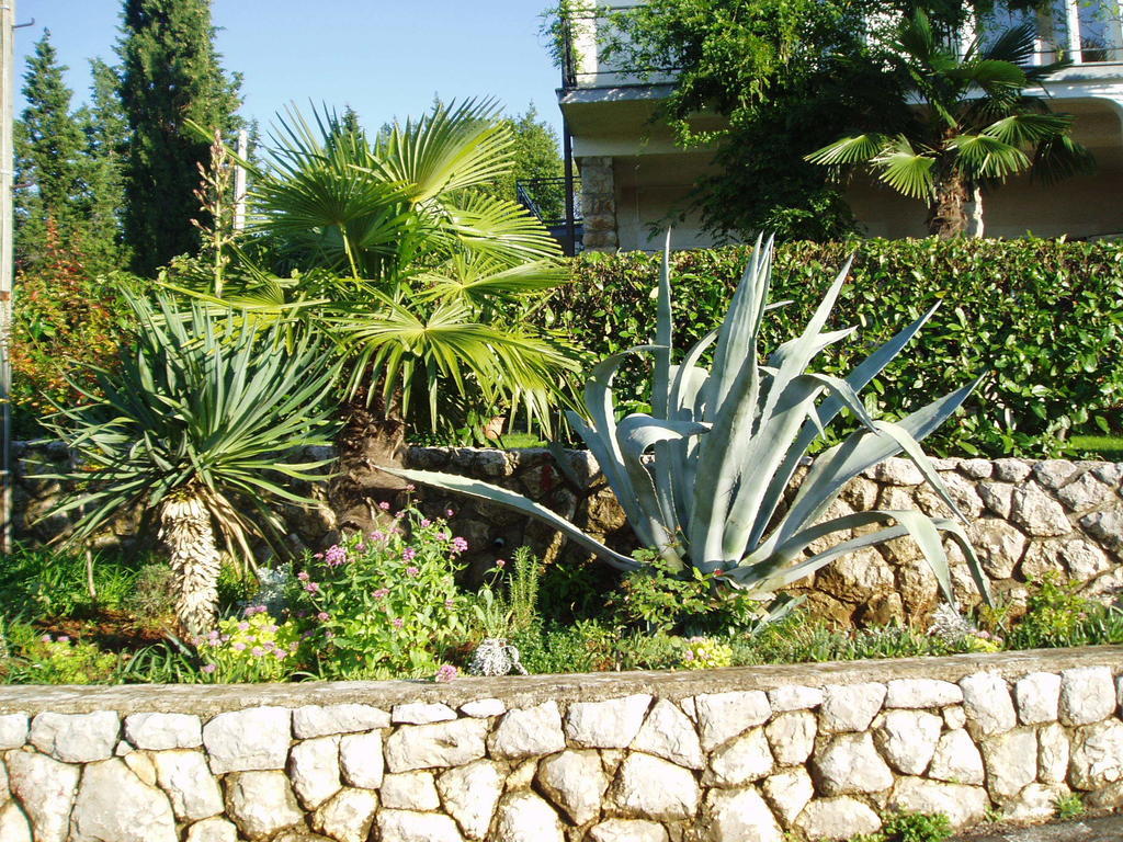 Apartments Villa Elizabet Malinska Rum bild